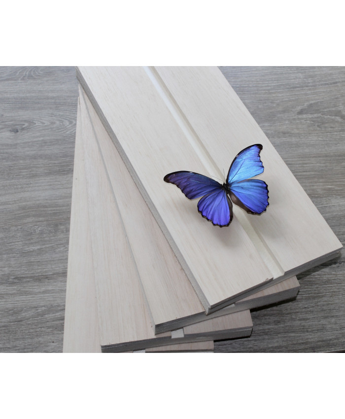 vlinder prepareer spanplank groot